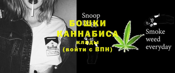 ПСИЛОЦИБИНОВЫЕ ГРИБЫ Алексеевка